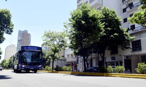 La Plata: el servicio de transporte público funciona con horario de verano