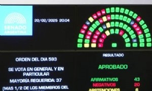 El Senado convirtió en ley la suspensión de las PASO