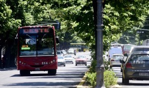 La Plata: funcionamiento de los servicios municipales durante los feriados de carnaval