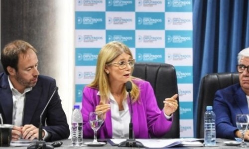 Presupuesto 2025: presentaron el proyecto en la Legislatura bonaerense