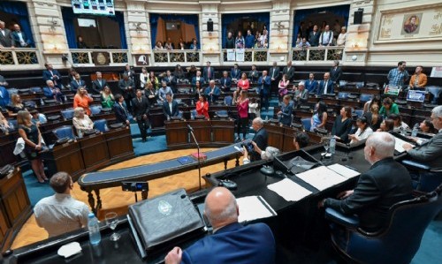 Diputados realizó una nueva sesión: Niñez, adolescencia y derechos humanos, los ejes de debate