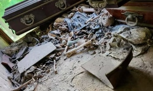 Descubrimiento macabro en el cementerio de La Plata: más de 500 ataúdes abandonados y 200 bolsas con restos humanos